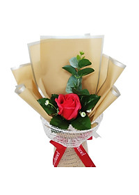 product-img-12