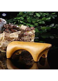 COMBO bộ 3 Dụng Cụ day ấn Huyệt Mát xa toàn thân kiểu Thái bằng gỗ Bách Xanh (MH845) Có mùi thơm dễ chịu - Chăm sóc sức khỏe