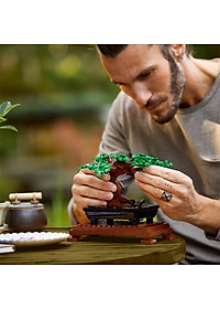 Đồ Chơi Lắp Ráp LEGO CREATOR Cây Bonsai 10281
