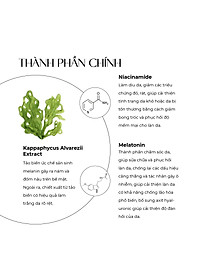 Kem nám và tàn nhang ban đêm Truesky Melasma Cream chiết xuất tảo biển 20g