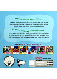 product-img-6