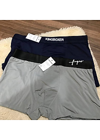 Quần Lót Nam (Combo 5 quần) NeSa Shop, Quần sịp đùi nam thun lạnh, co dãn 4 chiều, thoáng khí kháng khuẩn tốt 