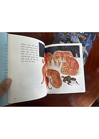 (Combo 2 cuốn) (Bìa cứng có áo) CHÚ RỒNG CỦA CHA TÔI và ELMER VÀ CHÚ RỒNG - Ruth Stiles Gannett – minh họa bởi Ruth Chrisman Gannett & Lá - Crabit Kidbooks 