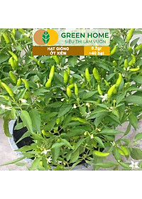 Hạt Giống Ớt Xiêm Greenhome, Gói 0,2gr, Dễ Trồng, Sai Trái, Siêu Cay G09