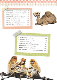 Thiên Nhiên- Những Bí Mật Còn Ẩn Giấu - Động Vật Quý Hiếm (Tái Bản 2019)- 2HBooks