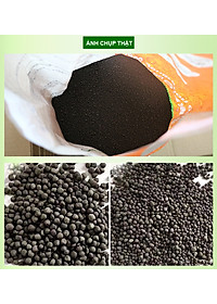 product-img-9