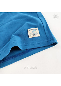 Bộ Bé Trai Bigfox, Bộ Cộc Tay Trẻ Em Mùa Hè Chất Cotton Mát In Hình Ván Lướt Sóng