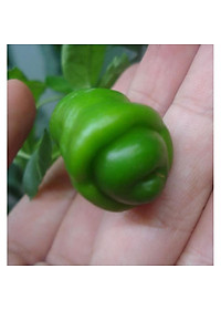 product-img-2