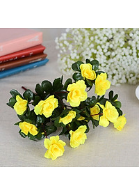 product-img-9