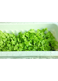 product-img-10