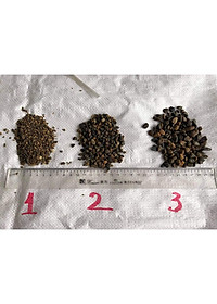 Sạn suối thiên nhiên trải nền bể cá - Bể BioTop - Sỏi suối trải nền thuỷ sinh - Hồ cá cảnh - bể cá