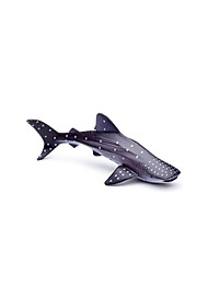 product-img-11