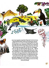 Sách Những Mảnh Ghép Đa Sắc Của Các Hệ Sinh Thái