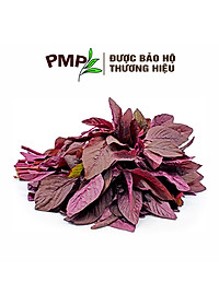 Hạt Giống Rau Dền Đỏ PMP 05g