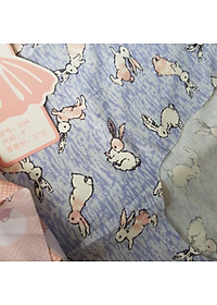 Combo 5 chiếc quần lót nữ thun lạnh chất vải co giãn 4 chiều điều hòa cực thông thoáng họa tiết 3D trẻ trung