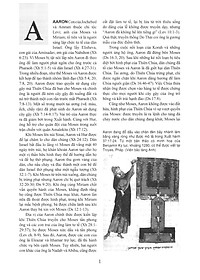 Từ Điển Kinh Thánh Anh - Việt (Minh Họa Và Sách Dẫn) - Vanlangbooks