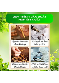 Đông Trùng Hạ Thảo Tây Tạng Teresa Herbs: Bổ Thận, Bổ Phổi, Bổ Tim, Tăng Cường Đề Kháng 60 viên