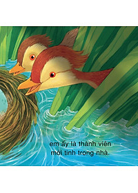 product-img-3