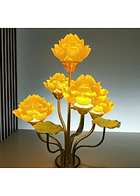 product-img-5