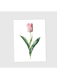 product-img-12