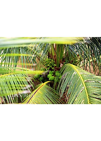 product-img-6