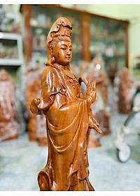 product-img-1