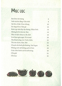 Sách Những Loài Bọ Phá Kỷ Lục - Bọ Tí Hon Ấn Tượng