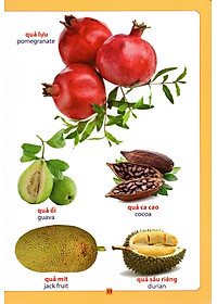 Sách Từ Điển Bằng Hình - Hoa, Quả, Rau, Củ