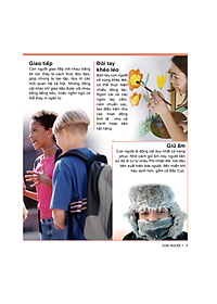 Sách Tri Thức Trong Lòng Bàn Tay - Bách Khoa Thiếu Nhi Cơ Thể Con Người