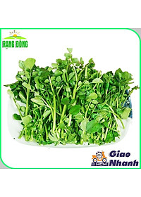 Hạt giống Xà Lách Xoong Sinh Trưởng Khỏe, Trồng Quanh Năm (gói 1 gram) - Hạt Giống Rạng Đông