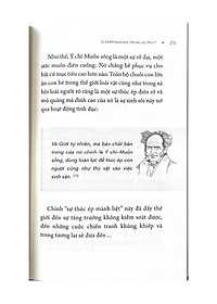 product-img-8