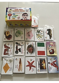  Bộ Thẻ Học Thông Minh Flashcards 16 Chủ Đề Cho Bé Học - Bộ 416 Thẻ Học Sông Ngữ Anh Việt Cao Cấp