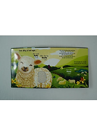 product-img-7
