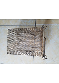 product-img-3