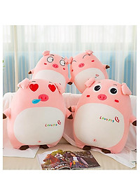 product-img-12