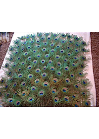 product-img-10
