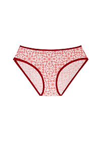 Combo 2 quần lót nữ cotton co dãn 4 chiều Flexi Miley Lingerie