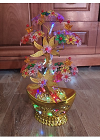 product-img-4
