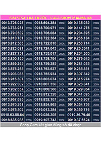 Sim Vinaphone đầu số 091, sim Phong Thuỷ, sim dễ nhớ - Hàng chính hãng