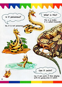 Sách My First Questions & Answers - Rainforest