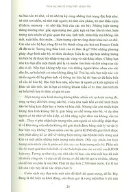 product-img-10