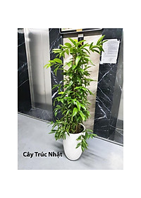 product-img-2
