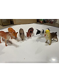 product-img-4