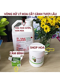 Bột Dưỡng Hoa Hồng Lâu Tàn (Set 10 hộp 1 hộp 10 gói tiết kiệm) giúp hoa luôn tươi mới, cánh hoa hồng cứng cáp gấp 2 lần và trong 14 ngày không thối nước hay cắt tỉa gốc hoa (hiệu Longlife nhập khẩu Israel)