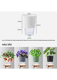 product-img-8