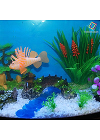 Cây Cầu Trang Trí Bể Cá Cảnh - PaKaSa