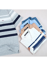 Áo Polo Nam VIỆT PHÁP Form Luxury - Thun Sọc TC Túi , lịch lãm, sang trọng 3804
