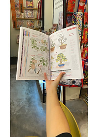 product-img-2