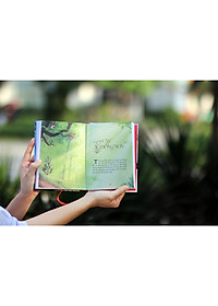 product-img-4