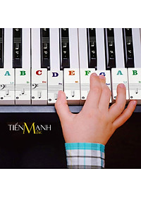 Sticker Dán nốt bàn phím cho Đàn Piano và Organ - Decal đánh dấu vị trí note nhạc dùng cho tất cả Đàn 88, 61, 54, 49 Phím Hàng Chính Hãng - Kèm Móng Gẩy DreamMaker